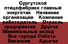 Сургутской птицефабрике главный энергетик › Название организации ­ Компания-работодатель › Отрасль предприятия ­ Другое › Минимальный оклад ­ 1 - Все города Работа » Вакансии   . Адыгея респ.,Майкоп г.